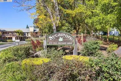 441 Sycamore Hill Dr, Danville, CA 94526 - Photo 47