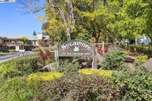 441 Sycamore Hill Dr, Danville, CA 94526 - Photo 47