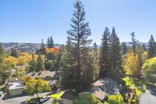 441 Sycamore Hill Dr, Danville, CA 94526 - Photo 41