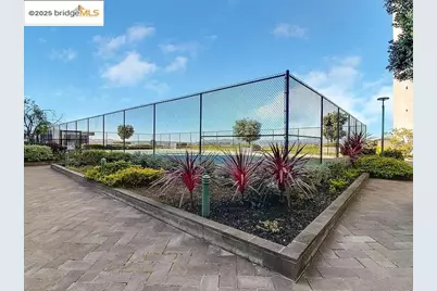 555 Pierce St #226, Albany, CA 94706 - Photo 29