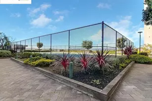 555 Pierce St, Albany, CA 94706 - Photo 29