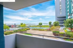 555 Pierce St, Albany, CA 94706 - Photo 25