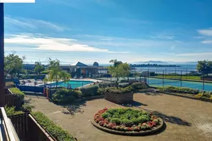 555 Pierce St, Albany, CA 94706 - Photo 13