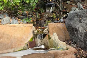 699 Fiesta Pl, Hayward, CA 94544 - Photo 43