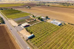 2017 Walnut Blvd, Brentwood, CA 94513 - Photo 1