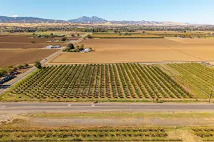 2017 Walnut Blvd, Brentwood, CA 94513 - Photo 11