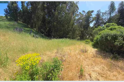 6595 Thorndale Dr, Oakland, CA 94611 - Photo 11