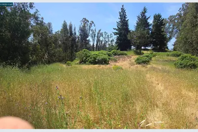 6595 Thorndale Dr, Oakland, CA 94611 - Photo 7