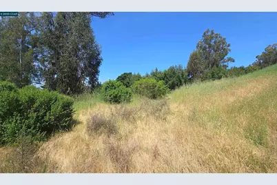 6595 Thorndale Dr, Oakland, CA 94611 - Photo 13