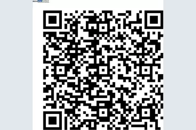 26953 Hayward Blvd #105, Hayward, CA 94542 - Photo 29