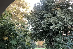 4088 Hackberry Pl, Davis, CA 95618 - Photo 5