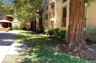 1310 Walden Rd, Walnut Creek, CA 94597 - Photo 21