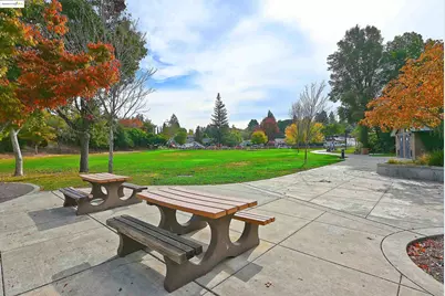 648 Fig Tree Lane, Martinez, CA 94553 - Photo 47