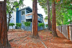 648 Fig Tree Ln, Martinez, CA 94553 - Photo 5