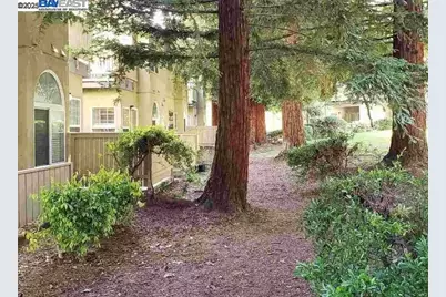 1405 Forest Run, Hercules, CA 94547 - Photo 21