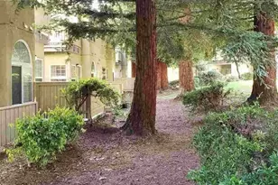 1405 Forest Run, Hercules, CA 94547 - Photo 21