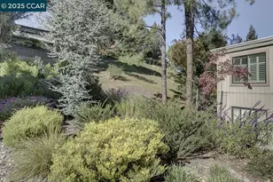 1508 Canyonwood Ct, Walnut Creek, CA 94595 - Photo 43