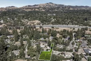 81 Jackson Way, Alamo, CA 94507 - Photo 7