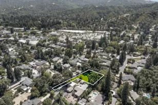 81 Jackson Way, Alamo, CA 94507 - Photo 5