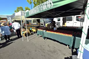 10468 West Ct, Oakland, CA 94603 - Photo 49