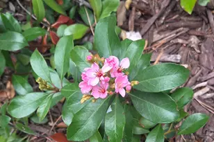 4119 Ravenwood Pl, Castro Valley, CA 94546 - Photo 3