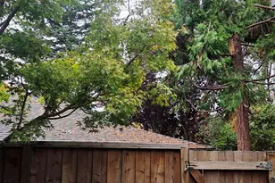 4119 Ravenwood Pl, Castro Valley, CA 94546 - Photo 43