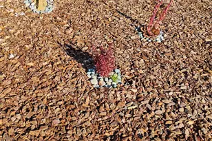 2621 66th Ave, Oakland, CA 94605 - Photo 37