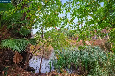 1867 Toyon Dr, Concord, CA 94520 - Photo 21