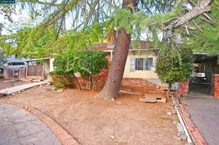 3160 Walnut Blvd, Walnut Creek, CA 94597 - Photo 5