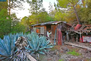 3160 Walnut Blvd, Walnut Creek, CA 94597 - Photo 21