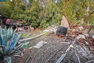 3160 Walnut Blvd, Walnut Creek, CA 94597 - Photo 25