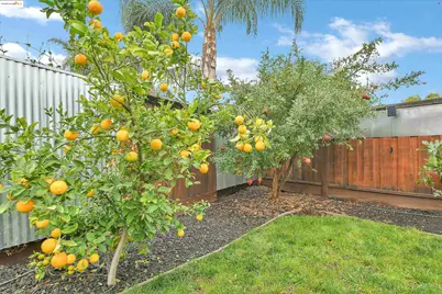 621 Avington Ct, Brentwood, CA 94513 - Photo 35