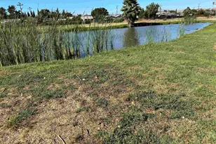 126 Fisk Terrace, Fremont, CA 94538 - Photo 29