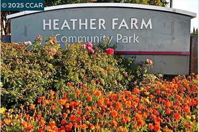 1936 Nero Ct, Walnut Creek, CA 94598 - Photo 39