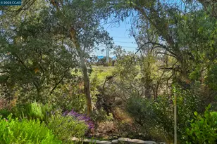 1566 Ashwood Dr, Martinez, CA 94553 - Photo 29