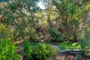 1566 Ashwood Dr, Martinez, CA 94553 - Photo 31