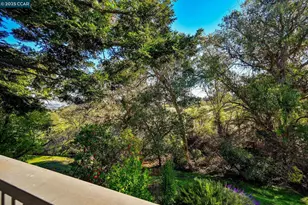 1566 Ashwood Dr, Martinez, CA 94553 - Photo 19