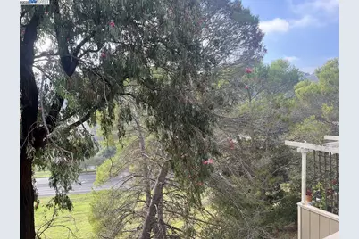 405 Thistle Cir, Martinez, CA 94553 - Photo 17