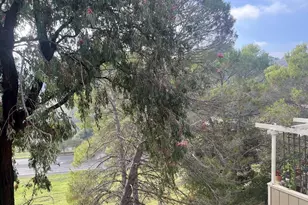 405 Thistle Cir, Martinez, CA 94553 - Photo 17