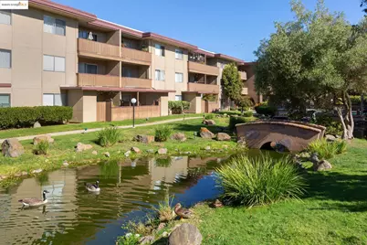 1311 Webster St #E316, Alameda, CA 94501 - Photo 33