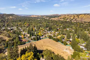 70 Dot Dr, Alamo, CA 94507 - Photo 9