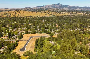 70 Dot Dr, Alamo, CA 94507 - Photo 3
