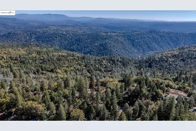 14900 Williams Rd, Pioneer, CA 95666 - Photo 11