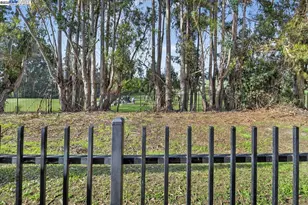 3505 Park Ridge Dr, Richmond, CA 94806 - Photo 45