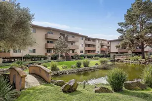 1321 Webster St, Alameda, CA 94501 - Photo 21