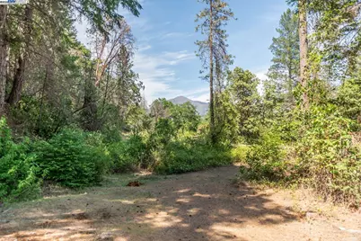 2940 Dutch Creek Rd, Junction City, CA 96048 - Photo 37