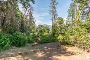 2940 Dutch Creek Rd, Junction City, CA 96048 - Photo 37