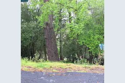 6044 Skyline Blvd, Oakland, CA 94611 - Photo 7