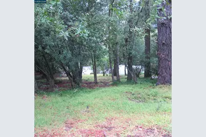 6044 Skyline Blvd, Oakland, CA 94611 - Photo 5