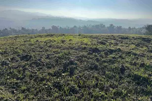 43 Cuesta Way, Walnut Creek, CA 94597 - Photo 1